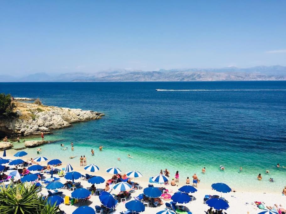 Summer Senses In *